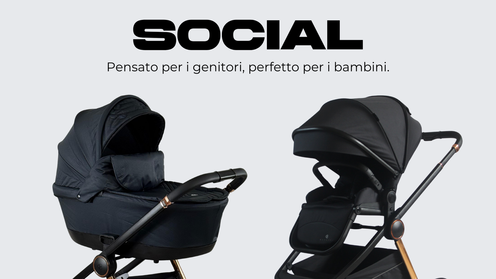 Barotti lifestyle