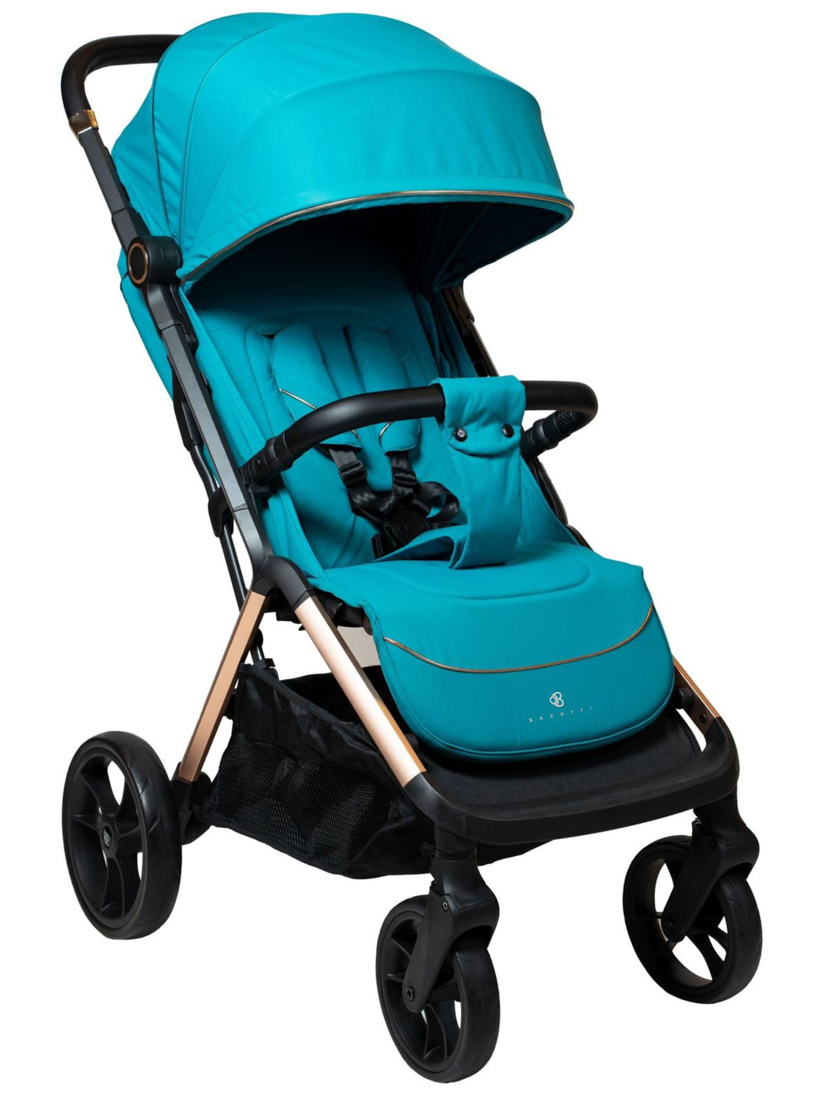 Passeggino XL Pro Salvia - Vista 1